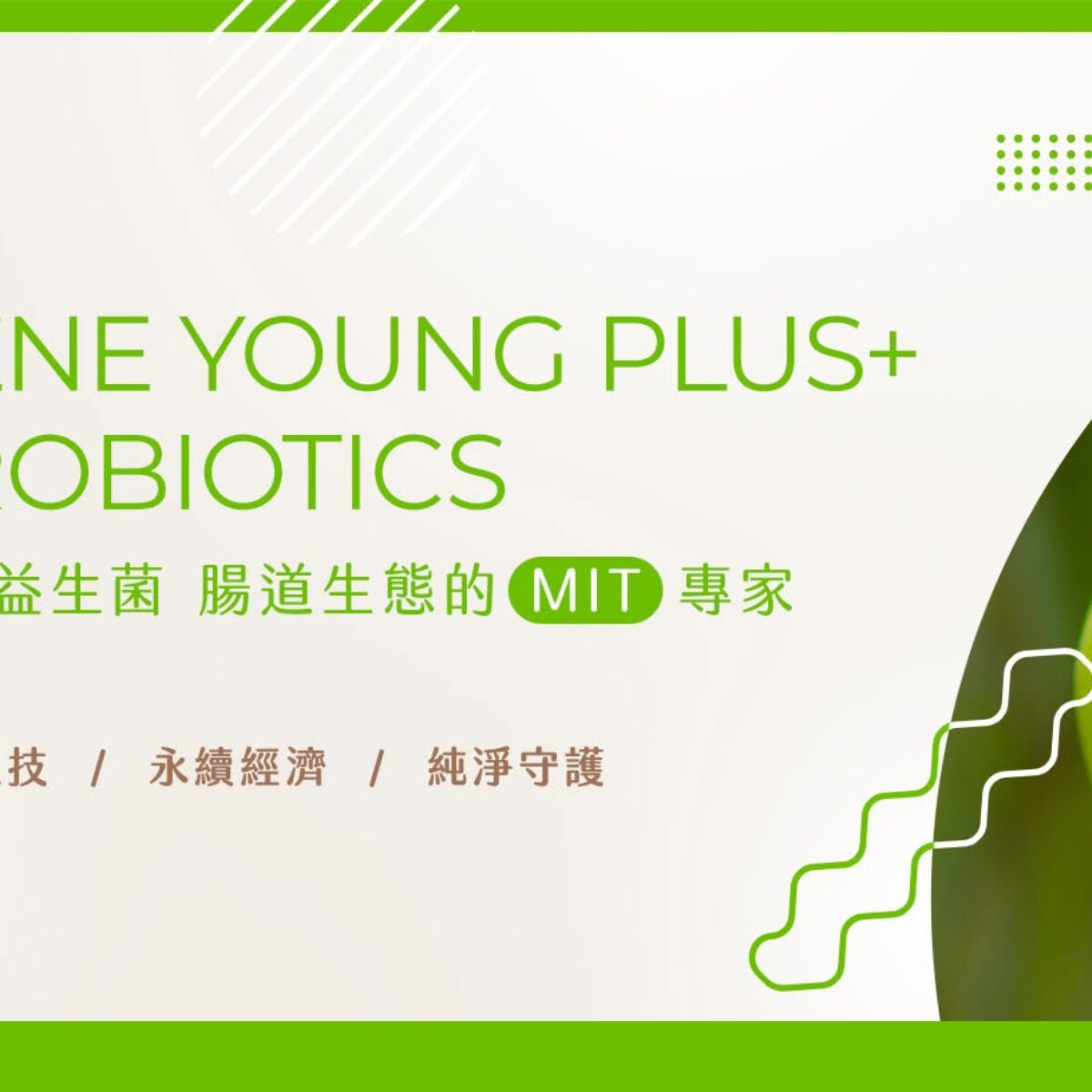 錢要花在刀口上 菌泳PLUS讓每一次補充都精準有效